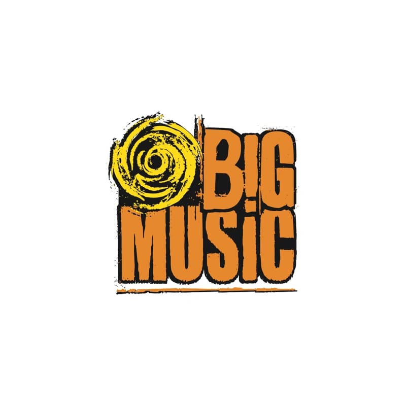 Big Music - kids birthday party venue